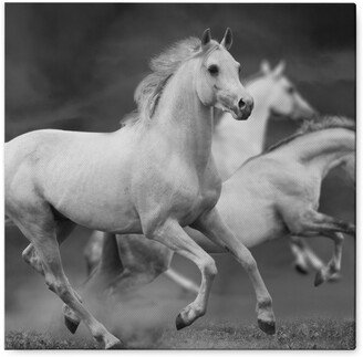 Photo Tiles: Running Horses - Black And White Photo Tile, Canvas, 8X8, Gray