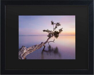 Moises Levy Water Tree Xv Matted Framed Art - 15 x 20