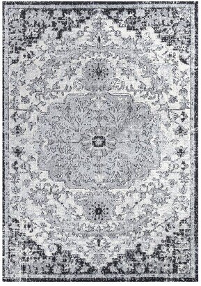 Anaise Transitional Rug-AA