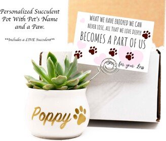 Pet Loss Box. Personalized Pet Gift. Succulent Gift Box.live Succulent. Loss. Sorry For Your Loss.pet Paw. Dog Loss.cat