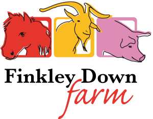 Finkley Down Farm Promo Codes & Coupons