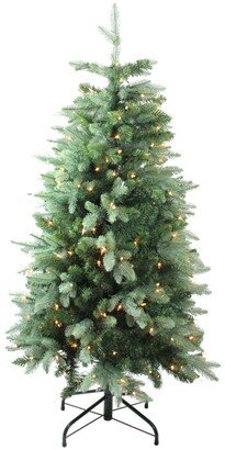 Northlight 4.7' Pre-Lit Slim Carolina Frasier Fir Artificial Christmas Tree - Clear Lights