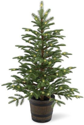 National Tree Company 4' Feel Real(R) Pe Norwegian Spruce Entrance Trees in Wiskey Barrel Pot with 100 Clear Lights
