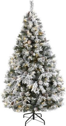 6ft Pre-Lit LED Flocked White River Mountain Pine with Pinecones Artificial Christmas Tree Clear Lights