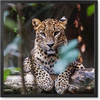 Photo Tiles: Leopard Photo Tile, Black, Framed, 8X8, Multicolor