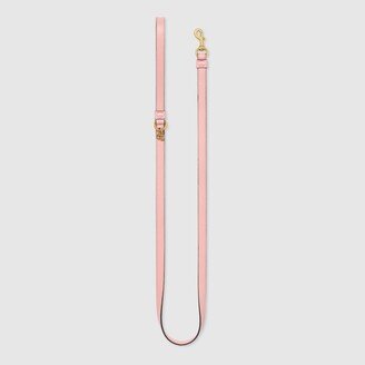 Extra-small pet leash-AA