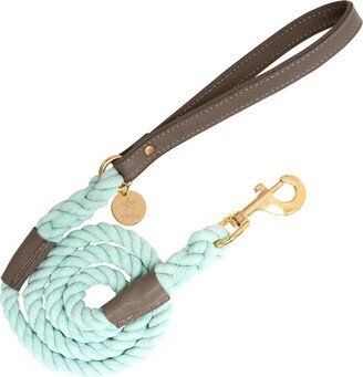 Poise Pup PoisePup - Luxury Pet Dog Leash - Soft Premium Italian Leather and 100% Natural Cotton Rope Leash - Desert Mint