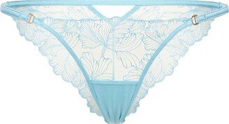 Alula lace brief