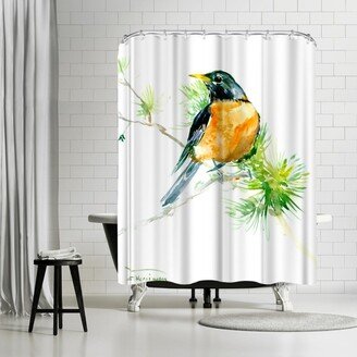 71 x 74 Shower Curtain, American Robin On Pine Tree by Suren Nersisyan