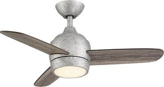 Wind River Mini 36-Inch Indoor/Outdoor LED Ceiling Fan