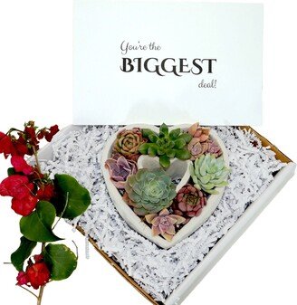 Diy-Gift | You're The Biggest Deal Heart Shaped Assorted Succulents Gift Box Inspirational Spiritual Bible Quotes Verse Self-Love Gifts