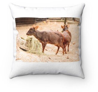 Pudu Pillow - Throw Custom Cover Gift Idea Room Decor