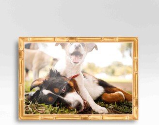 CustomPictureFrames.com 6x40 Frame Gold Real Wood Picture Frame Width 1 inches | Interior