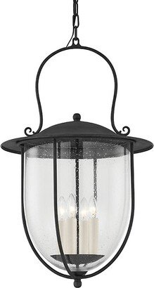 Monterey County Outdoor Pendant Light