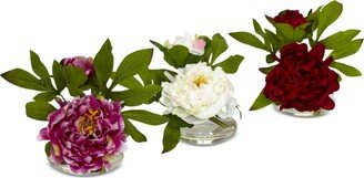 3-Pc. Peony Set with Glass Vases