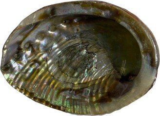 Abalone Shell - 4 Inches Used For Smudging To Represent The Element Of Water
