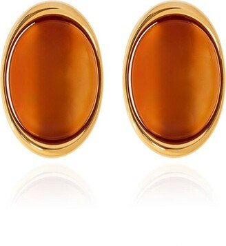 Carnelian Embellished Earrings