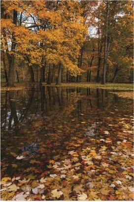 Kurt Shaffer Photographs Autumn picnic flooded Canvas Art - 36.5 x 48