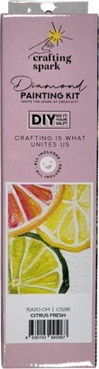 Crafting Spark Diamond Painting Kit Citrus Fresh CS281 5.9 x 7.9 inches