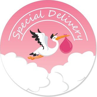 Big Dot of Happiness Girl Special Delivery - Pink It's A Girl Stork Baby Shower Circle Sticker Labels - 24 Count