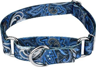 Country Brook Petz Blue Paisley Martingale Dog Collar (1/2 Inch, Extra Small)