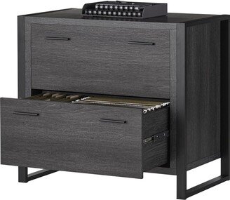 EPOWP 2-Drawer Lateral File Cabinet, Charcoal