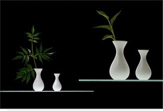 Doris Reindl Greens in White Vases Canvas Art - 37 x 49