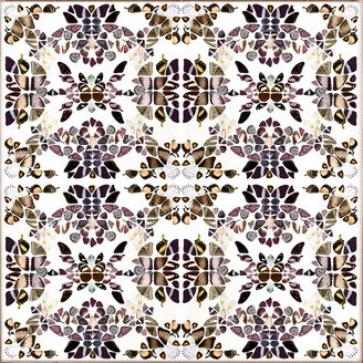 Butterfly Patterns 2