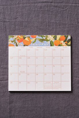 Seedlings 12 Month Calendar, Orange Grove