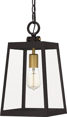 Amberly Grove Outdoor Pendant Light