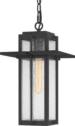 Randall Outdoor Mini Pendant Light