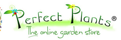 Perfect Plants Promo Codes & Coupons