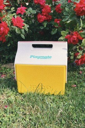 Playmate Cooler