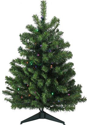 Northlight 3' Pre-Lit Led Canadian Pine Artificial Christmas Tree - Multi Lights