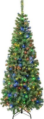 National Tree Company First Traditions 6' Pre-Lit LED Sagamore Slim Artificial Christmas Tree Multicolor Lights