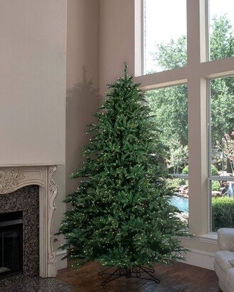 Barcana Full Alaskan Deluxe LED Christmas Tree, 9'