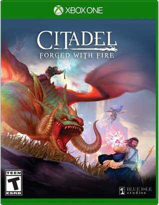 Solutions 2 Go Citadel: Forged with Fire - Xbox One