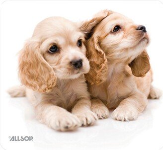 Allsop® NatureSmart™ Mouse Pad (Puppies)