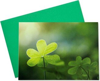 Signature Cards St. Patrick's Day Greeting Card Box Set of 25 Cards & 26 Envelopes - SS100