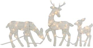 Set Of 3 Outdoor 2-D White Glittering Reindeer With 50 Lights