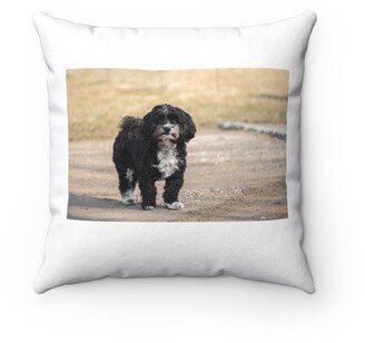 Little Havanese Pillow - Throw Custom Cover Gift Idea Room Decor