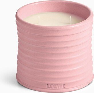 Ivy pink medium candle