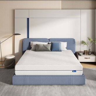 Avenco 8 Inch Gel Memory Foam Mattress in a Box