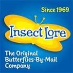 Insect Lores