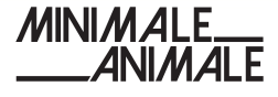 Minimale Animale Promo Codes & Coupons