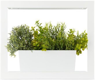 White Smart Growhouse Planter