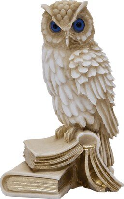 Wise Owl On Book Statue Greek Handmade Alabaster Sculpture 17cm