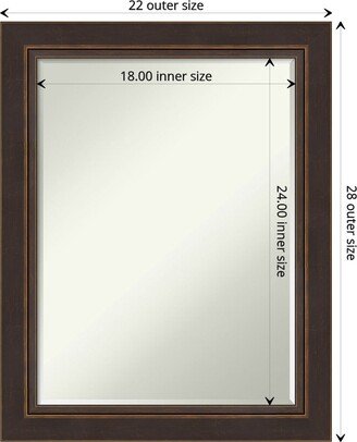 Petite Bevel Wood Wall Mirror - Lara Bronze Frame - Lara Bronze - 22 x 28 in