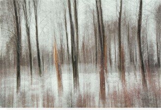 Gustav Davidsson Cold Photograph Canvas Art - 37 x 49