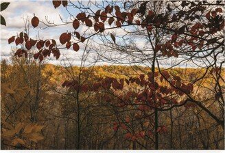 Kurt Shaffer Photographs Autumn in the Cuyahoga Valley Canvas Art - 36.5 x 48